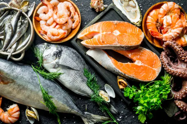 Premium Frozen Seafood